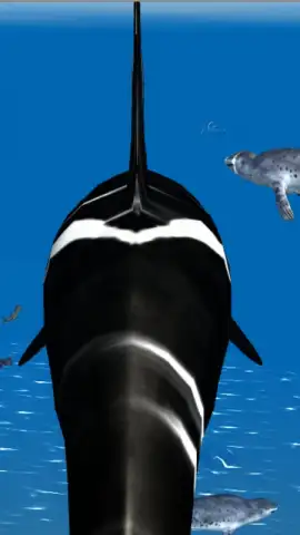 Orca Simulator скриншот 4
