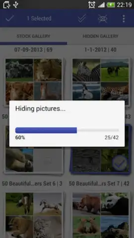 Gallery Plus - Hide Pictures скриншот 1