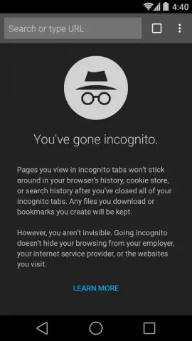 Chrome Canary скриншот 6