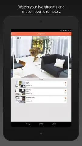 Manything скриншот 4