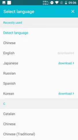 Youdao Translate скриншот 6