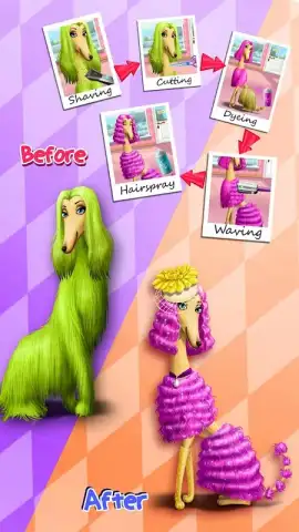 Animal Hair Salon скриншот 7