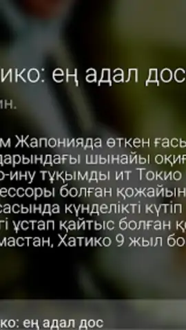 Galam TV скриншот 10