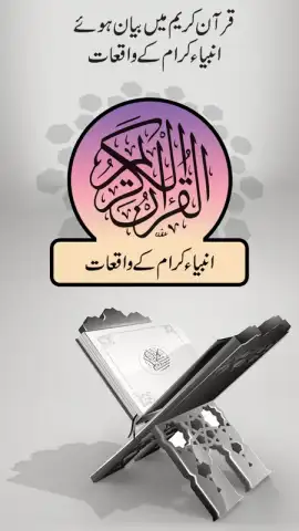 Quranic Stories Urdu скриншот 7