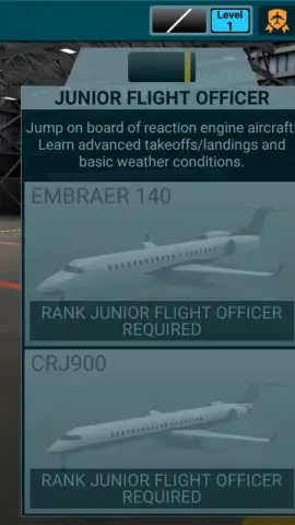 AIRLINE COMMANDER скриншот 4