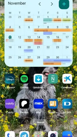 Google Calendar скриншот 8