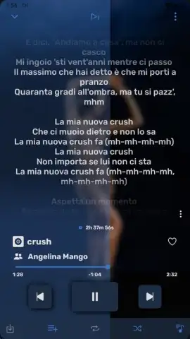 RiMusic скриншот 4