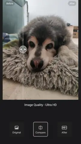 Wink скриншот 1