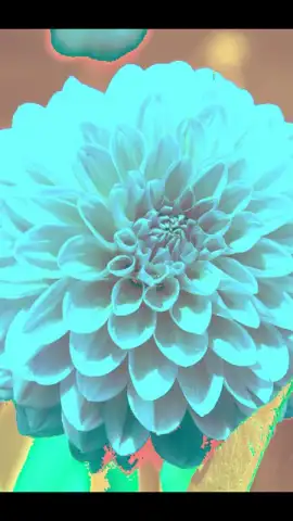 After Effect скриншот 1