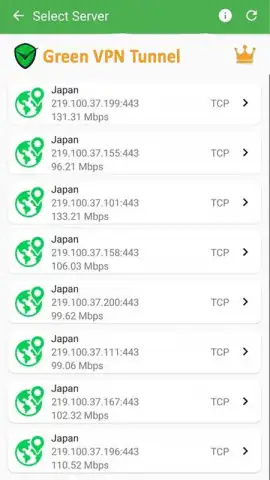 Green VPN Tunnel - Super Fast Net скриншот 2