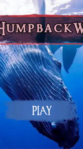 The Humpback Whales скриншот 4