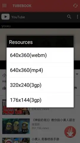 Tubebook YouTube Downloader скриншот 3