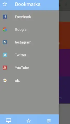 BrowserR скриншот 2