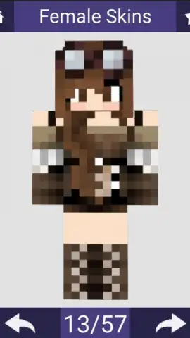 Skins For Minecraft скриншот 2