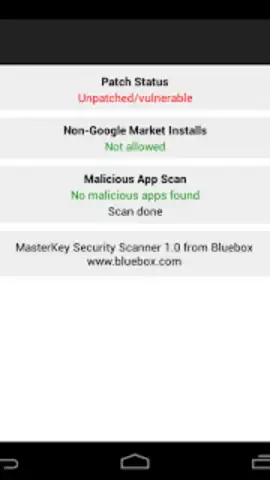 Bluebox Security Scanner скриншот 1