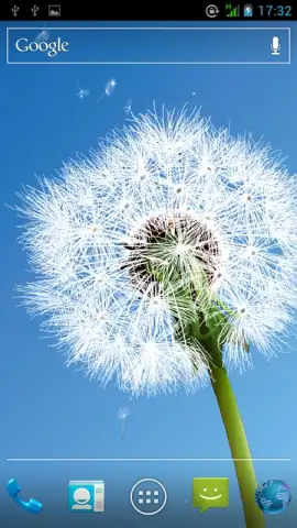 Dandelion скриншот 2
