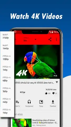 Fast Youtube Downloader скриншот 8