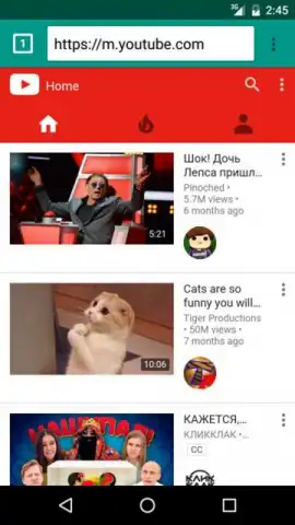 Soni indian browser скриншот 3