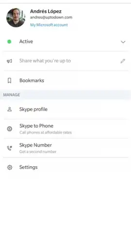 Skype скриншот 1