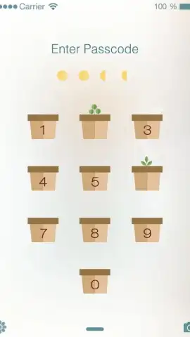 PIP Lock Screen скриншот 4