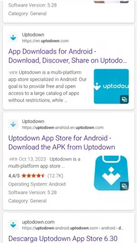 Bing скриншот 15