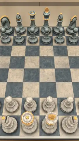 Real Chess скриншот 1