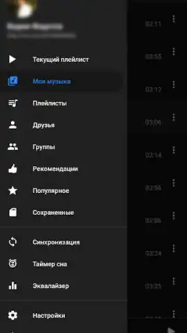 BiRD - Музыка из ВК скриншот 2
