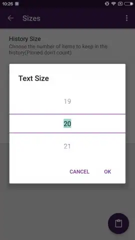 Native Clipboard скриншот 2