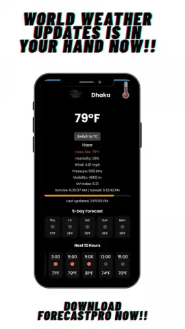ForecastPro скриншот 3