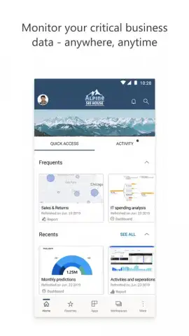 Microsoft Power BI скриншот 1