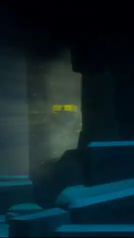 Dave the Diver (CN) скриншот 10