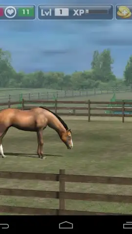 My Horse скриншот 8
