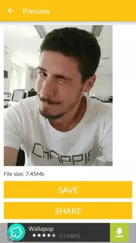 Video and GIF Memes скриншот 1
