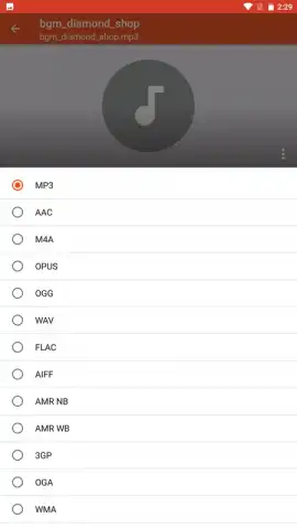 Audio Converter скриншот 3