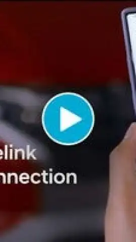 Bluelink скриншот 1