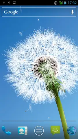 Dandelion скриншот 1