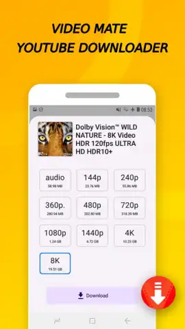 Vidora YouTube Downloader | free & fast скриншот 13