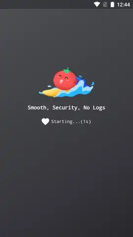 VPN Tomato скриншот 6