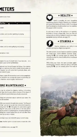 RDR2: Companion скриншот 4