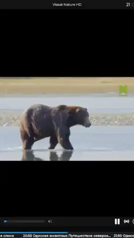 TV+ Kazakhtelecom скриншот 2