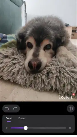 CollartAI скриншот 6