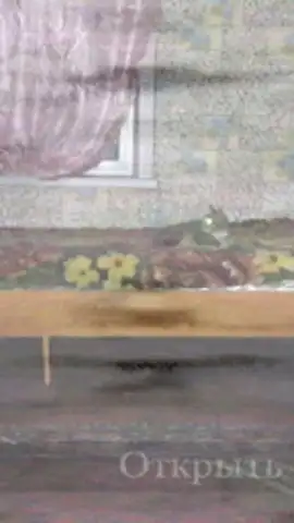 Пять Ночей С Ёжиком скриншот 3