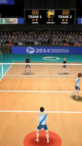 Volleyball 3D скриншот 4