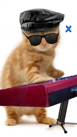 Talking, Dancing Cat. скриншот 7