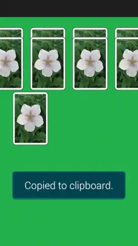 Spider Solitaire Game скриншот 5
