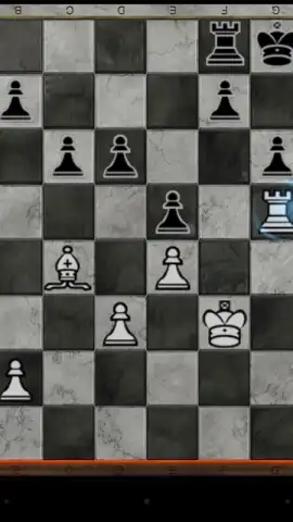 World Chess Championship скриншот 3