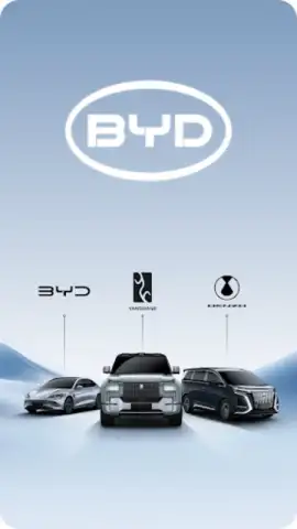 BYD скриншот 7