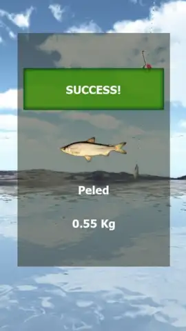 Fishing 3D Simulator. The Lakes скриншот 1