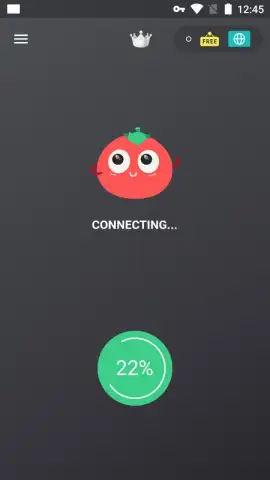 VPN Tomato скриншот 1