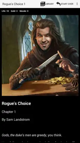 Rogue's Choice скриншот 1